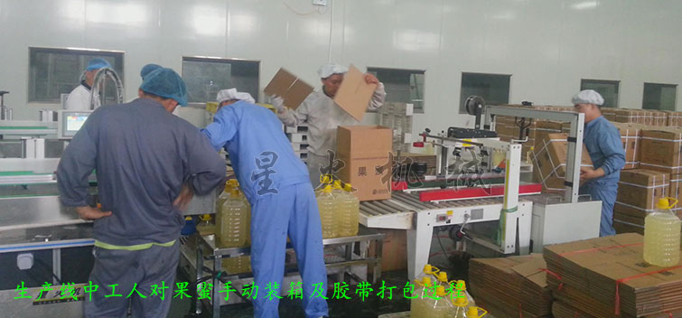 消防粉灌裝生產線，全自動粉末灌裝生產線